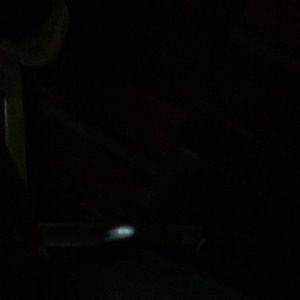 Meet your Posher, De avian